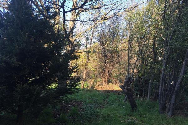 VENDITA Casa semi-indipendente Cascinette d'Ivrea