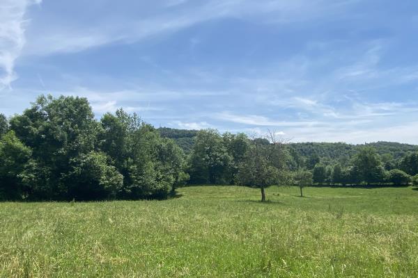VENDITA Rustico o Casale Val di Chy