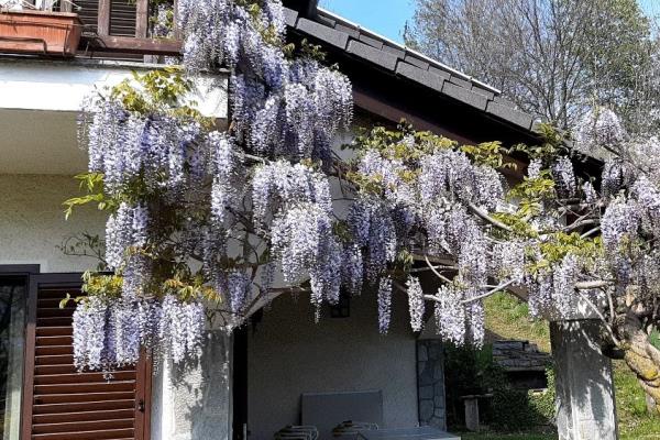 VENDITA Villa singola Valchiusa