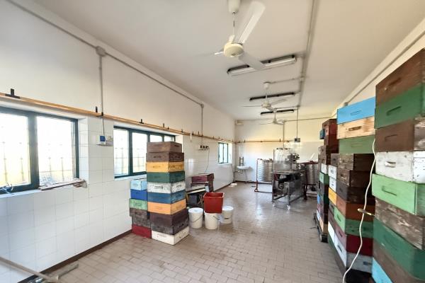 VENDITA Capannone industriale Caluso