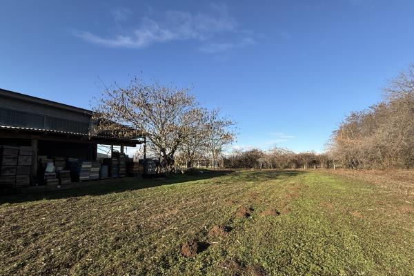 VENDITA Capannone industriale Caluso