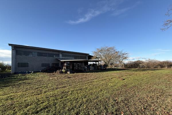 VENDITA Capannone industriale Caluso