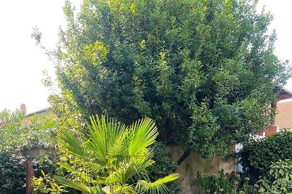 VENDITA Casa semi-indipendente Santhi�